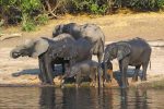 16 Tage Botswana Campingtour 16 Tage Botswana Campingtour